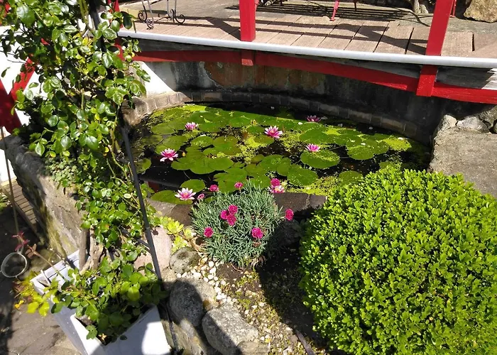 Urlaub Im Fachwerkhaus *